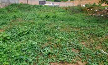 Imagem: Lote plano rua João Mendonça Vila Sion