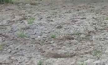 Imagem 3: Terreno no povoado coité