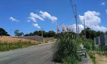 Imagem 6: TERRENO À VENDA - CAMPO LARGO / PR