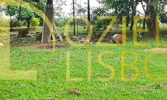 Imagem: CHÁCARA 25 HECTARES 25.000 ESCRITURADA