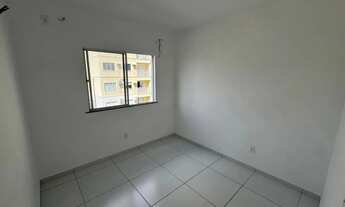 Imagem 5: Palmeiras Prime II