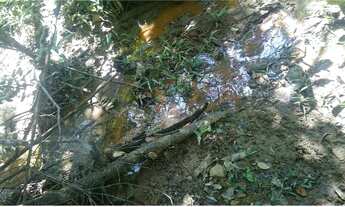 Imagem 7: Jaboticatubas!! lindo sitio de 4.200 metros WhstAPP 9 * Guilherme