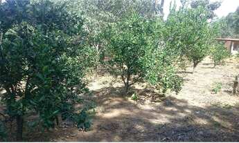 Imagem 5: Jaboticatubas!! lindo sitio de 4.200 metros WhstAPP 9 * Guilherme