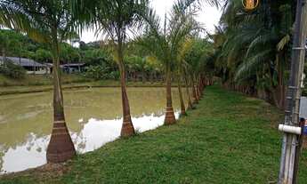 Imagem 6: Chácara com 02 dormitórios à venda, 10300 m² por R$ 350.000 - Primeiro Braço Do Norte - Ma