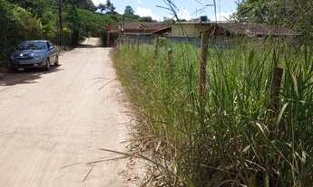 Imagem 5: MATEUS LEME - STA CRUZ