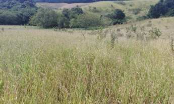 Imagem 3: Sorocaba Sitio 3 Alqueires