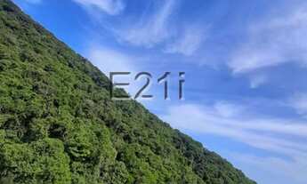 Imagem 6: Apartamento para Venda em Rio de Janeiro, São Conrado, 2 dormitórios, 1 suíte, 1 banheiro