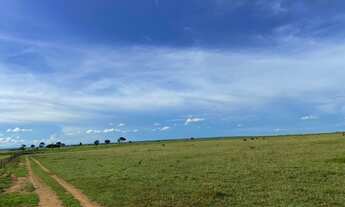 Imagem 3: 392 alqueires em Nova Crixas-Go