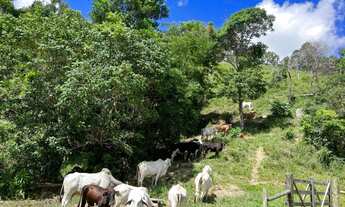 Imagem 4: Terra 11,5 alqueires