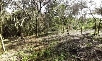 Imagem 7: LOTES ENTRE MULUNGU E GUARAMIRANGA