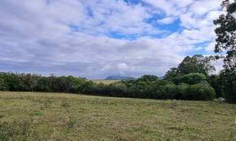 Imagem 7: Excelente sítio 4,7 hectares com eterna vista em Viamão, troca apartamento