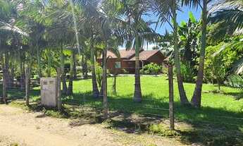 Imagem 4: Ótima chácara a venda em Canelinha SC!!!