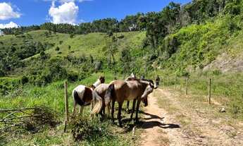 Imagem 5: Terra 11,5 alqueires