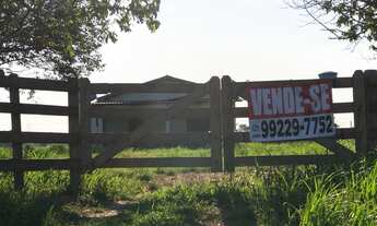 Imagem 6: COLÔNIA NO RAMAL DA ZEZÉ/SÃO JOÃO