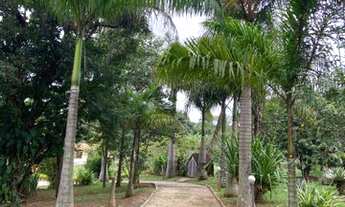 Imagem 3: Sitio em Piracema 4,5 Hectares