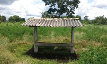 Imagem 6: 69 alqueires beira rio em Goias velho-Go