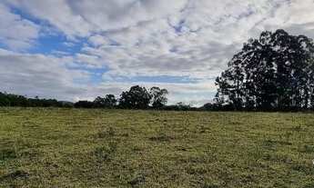 Imagem 4: Excelente sítio 4,7 hectares com eterna vista em Viamão, troca apartamento