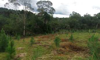 Imagem 3: Chácara Chácara com venda por R$80.000