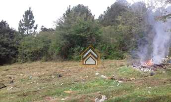 Imagem 4: Terreno Residencial à venda 8x30. Bairro Formosa. Alvorada/RS