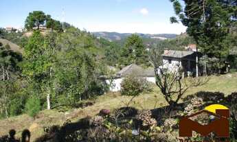 Imagem 4: Chácara com nascentes dentro da cidade