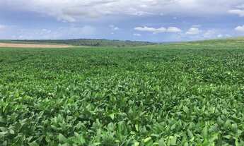 Imagem 3: Fazenda de 627 alq ou 3036 ha em Serranópolis-Go