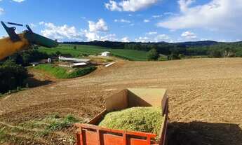 Imagem 4: Chácara Sitio Fazenda na Lapa 8 Alqueires