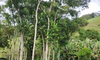 Imagem 6: Vendo linda Chácara em Santo Amaro da Imperatriz