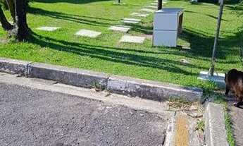 Imagem 5: Apartamento com 2 dormitórios à venda, 48 m² por R$ 212.000,00 - Jardim Triângulo - Ferraz