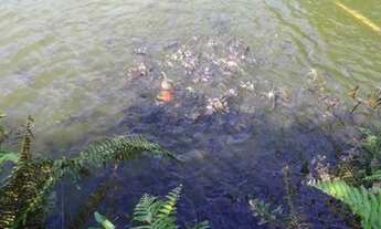 Imagem 5: Rio Friburgo - Guapimirim Km 14