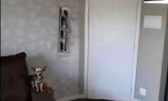 Imagem 2: IMÓVEL COMPLETO; APARTAMENTO 48M² COM COZINHA PLANEJADA; EM CONDOMÍNIO FECHADO; VIVA BEM E