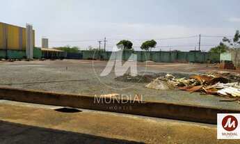 Imagem 7: Salão/Galpão (salão - térreo