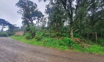 Imagem 5: Terreno no bairro Serra Velha em São Francisco de Paula!