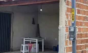 Imagem 5: Vendo roça na Carnaiba do Sertão