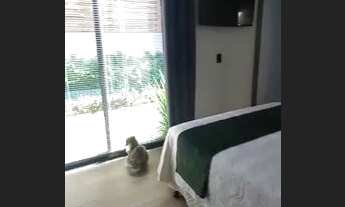 Imagem 7: Casa térrea completa com 3 suítes no condomínio Terra Nobre - Indaiatuba