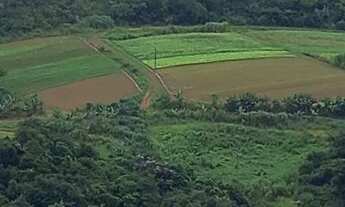 Imagem 6: Excelente Lote no Tangará