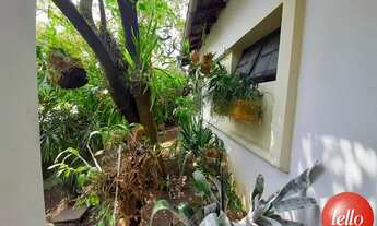 Imagem 5: São Paulo - Casa Padrão - Tucuruvi