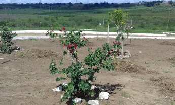 Imagem 7: Sapeaçu Ville, um novo conceito em moradia, lotes escriturados a partir de 350 m²