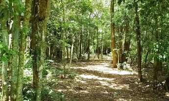 Imagem 6: Sítio de 2,00 hectares (20.000,00 m2), com área de lazer fechada, lago, fundos rio Tibagi