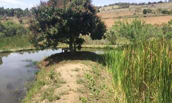 Imagem 6: Vendo ou troco sítio no sul de minas