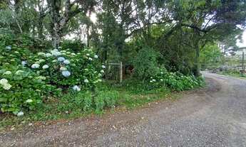 Imagem 4: Terreno no bairro Serra Velha em São Francisco de Paula!