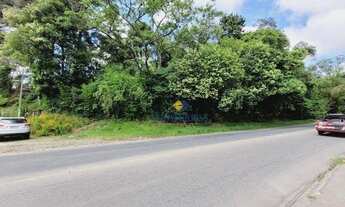 Imagem 3: Terreno à venda, 5867 m² por R$ 2.900.000,00 - Santa Cândida - Curitiba/PR