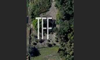 Imagem: área - Parque da Figueira - Paulínia