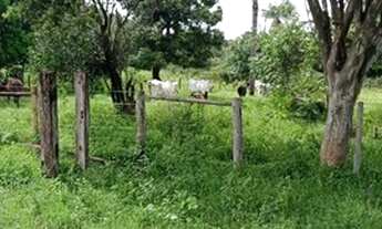 Imagem 7: Saida Pirapora...Fazendinha 15 Alqueires 700.000.00