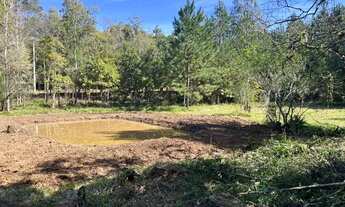 Imagem 11: Sítio Com Açude Em Condomínio Fechado. ROB:326