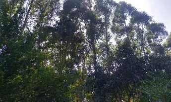 Imagem 7: Condomínio c/ Horta Comunitária: terrenos 1000m2 p/ sua chácara, Marinque SP