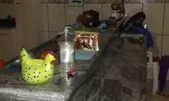 Imagem 6: Casa com 2 dormitórios à venda, 70 m² por R