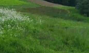 Imagem 2: Vendo meu terreno em Cotia com infraestrutura avançada