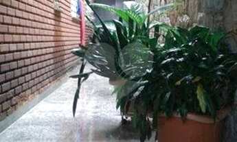 Imagem 3: SOBRADO MARAVILHOSO A VENDA NA VILA PAIVA - AO LADO DA AV. CONCEIÇÃO - 3 QUARTOS E 2 VAGAS