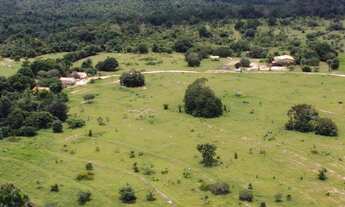 Imagem 6: Oportunidade 921 alqueires em Goiatins-TO