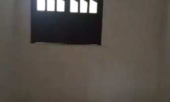 Imagem 6: Casa, 2/4, otimo acabamento, bem localizada, excelente